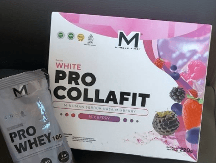 Pro Collafit