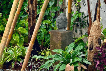 Inspirasi Taman Rumah Modern yang Elegan dan Fungsional