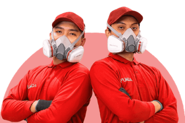 Waspada Serangan Rayap di Jakarta, Ini Solusi Perlindungan Bangunan yang Tepat